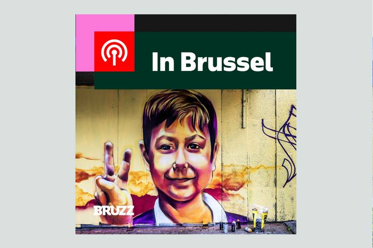 In Brussel: Na de dood van Fabian, de vertrouwensbreuk met de politie en lichtzoekers